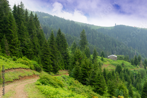 Foggy Plateau Highland with Giresun - Turkey