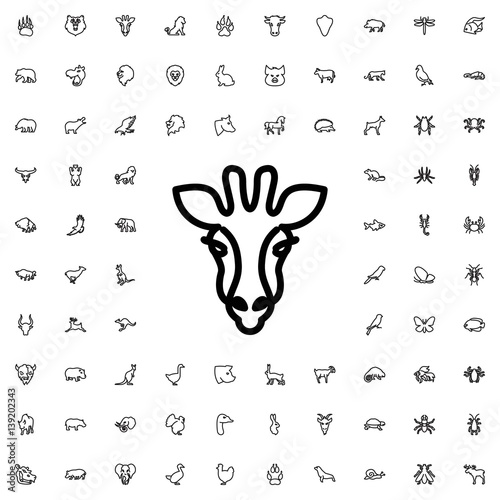 giraffe icon illustration