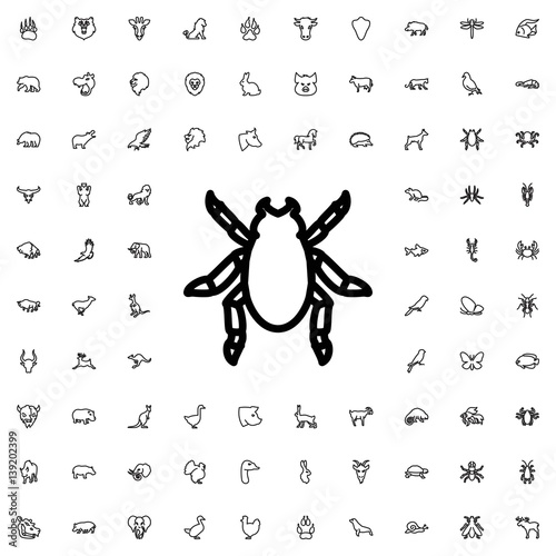 beetle icon illustration