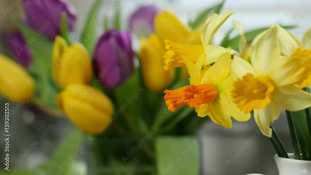 jonquils and tulips in vase jonquils and tulips in vase