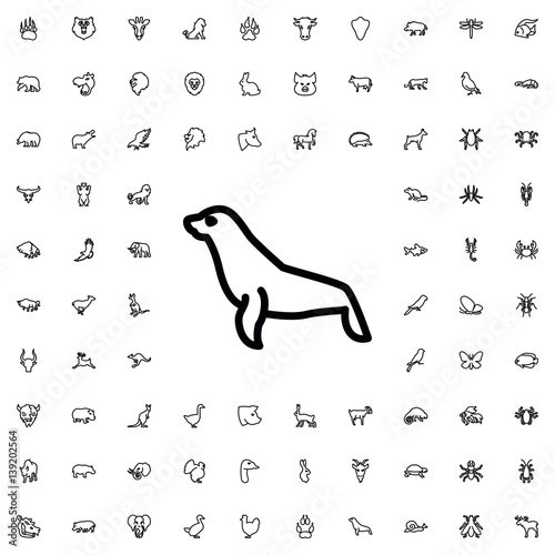 seal icon illustration