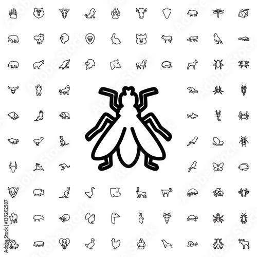 fly icon illustration