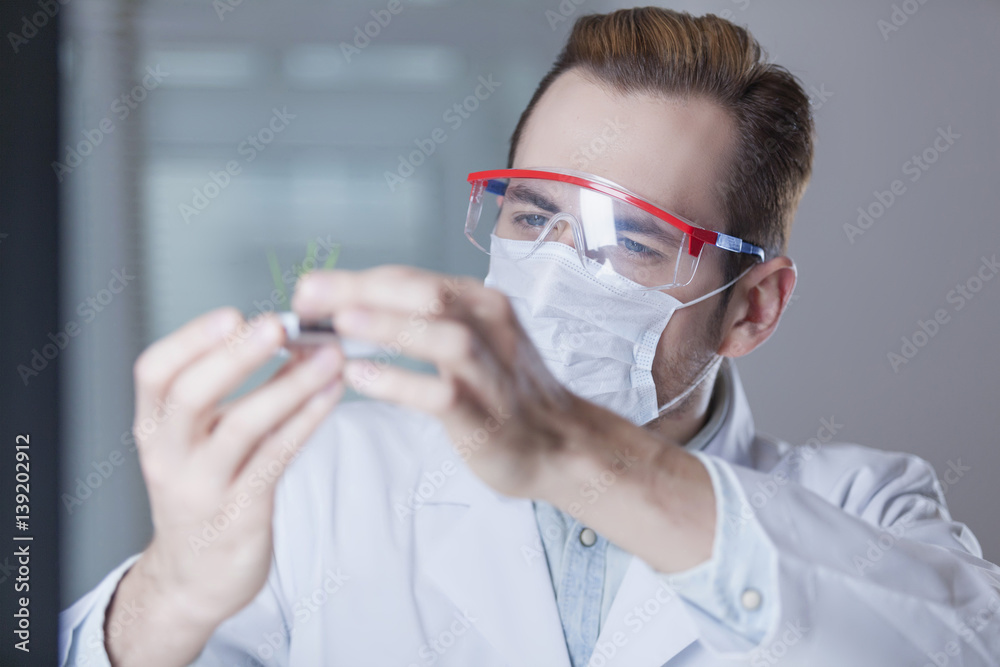 scientist examining plants in lab