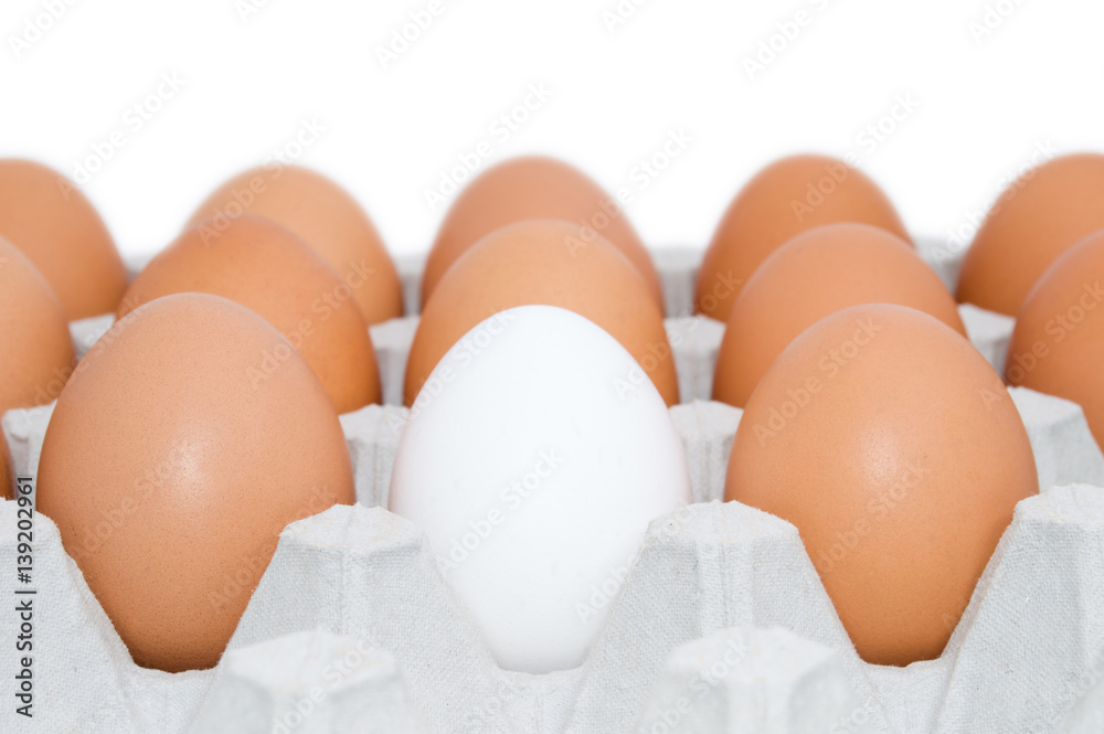 One white egg in cardboard among brown eggs concept isolated on white background One white egg in cardboard among brown eggs concept isolated on white background