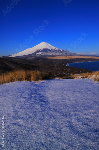 山中湖・鉄砲木ノ頭(明神山)からの雪景色の青空富士山