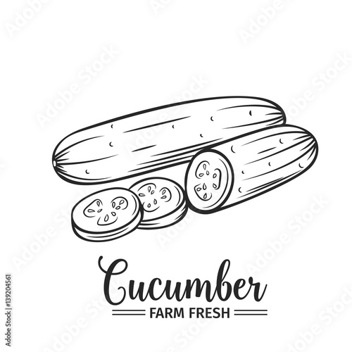 Hand drawn cucumber icon.