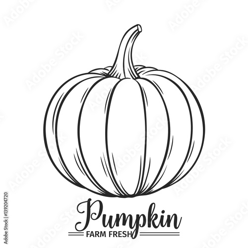 Hand drawn pumpkin icon.