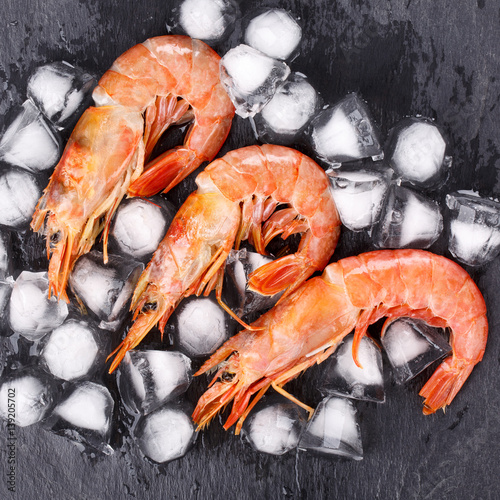 Red argentine shrimps (head on) on black