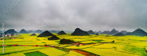 Canvas Print Canola field, rapeseed flower field with the mist in Luoping, China