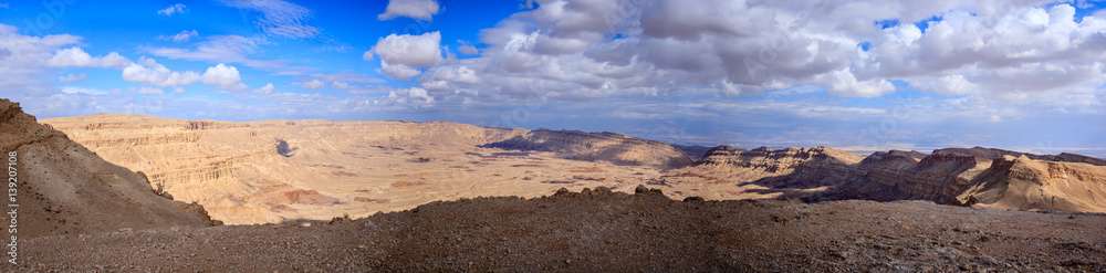 the israeli desert