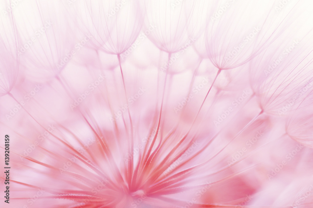 Blue abstract dandelion flower background, closeup with soft focus