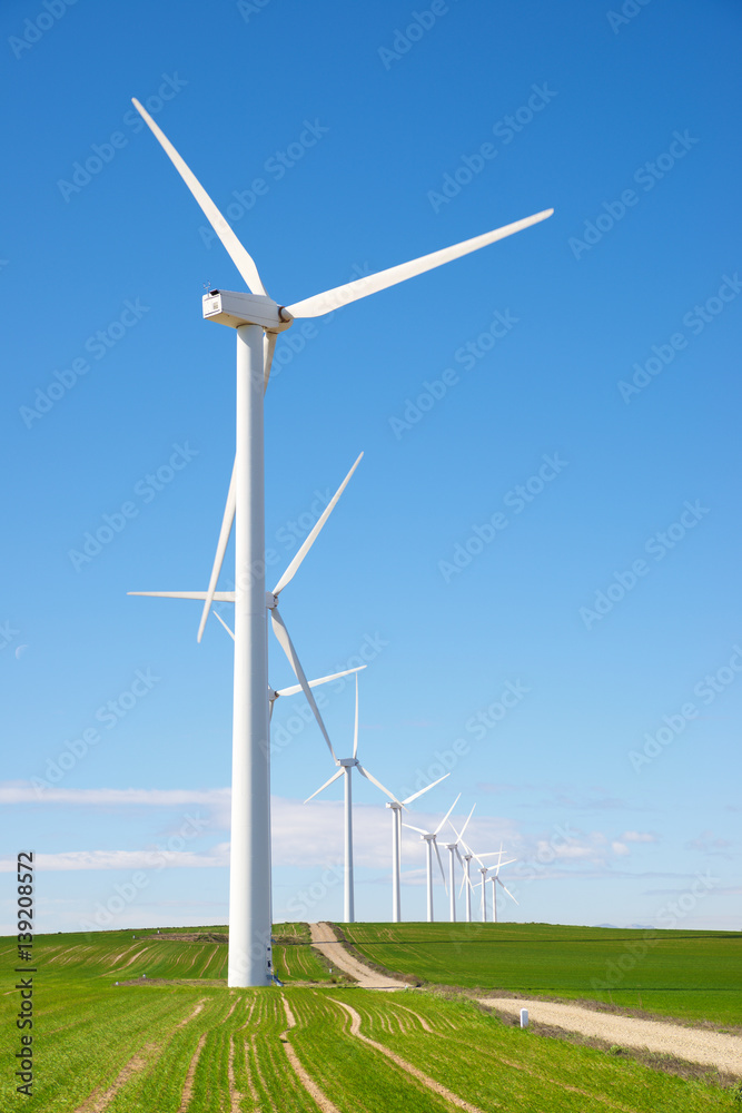 Fototapeta premium Wind energy concept