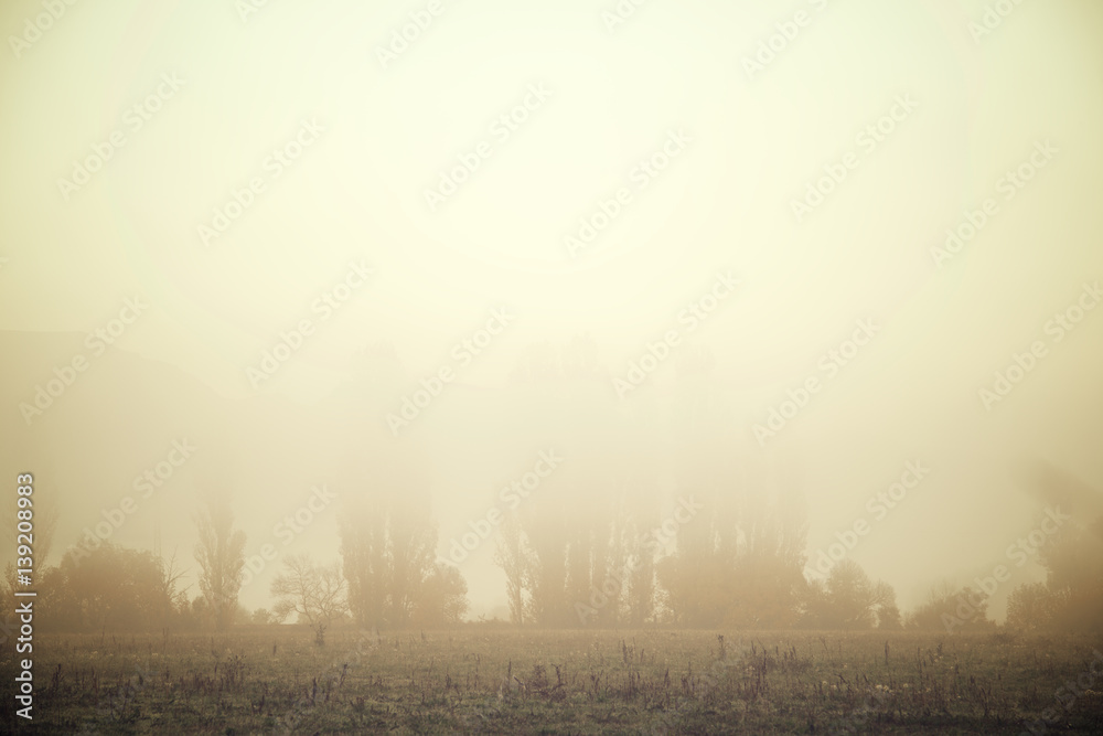 Fog in the Pyrenees