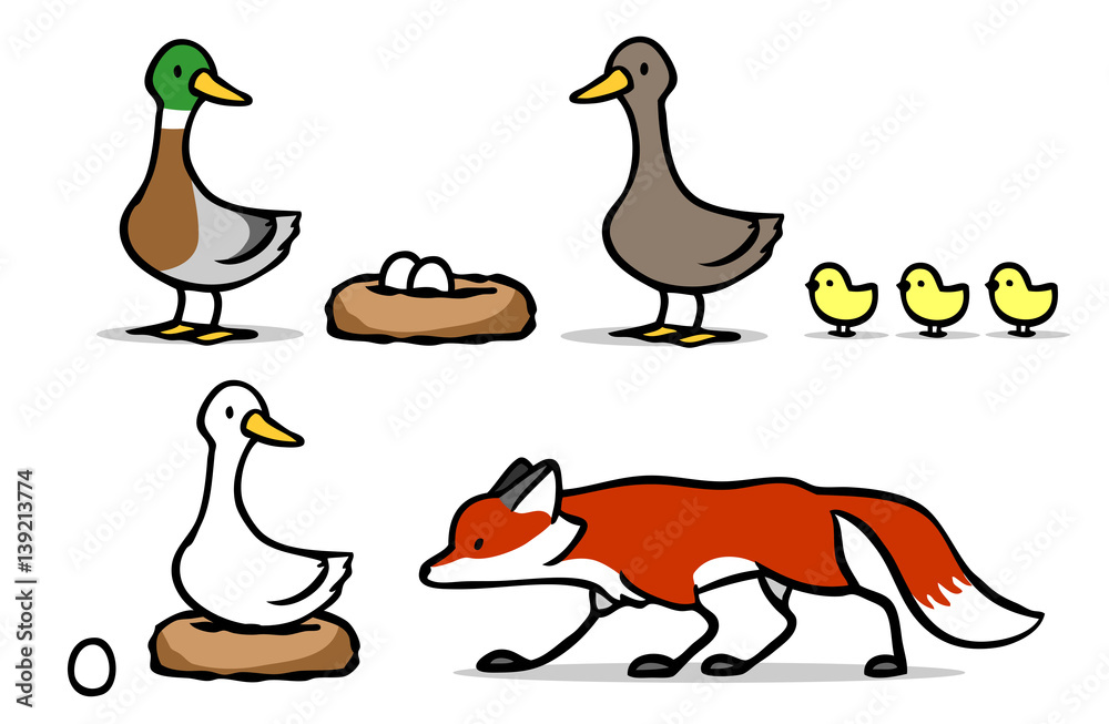 Fototapeta premium Fuchs mit Gans und Enten mit Nest und Eiern