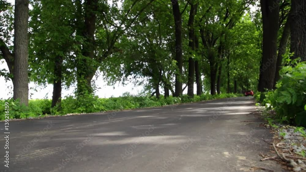 Red car drives on an asphalt road that runs along green trees and bushes of a small forest Red car drives on an asphalt road that runs along green trees and bushes of a small forest