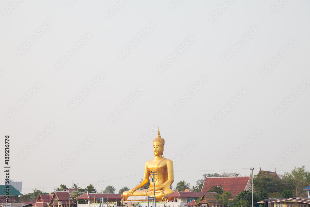 Huge Gold color Buddha statue