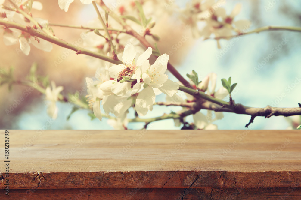 wooden table in front of spring cherry tree
