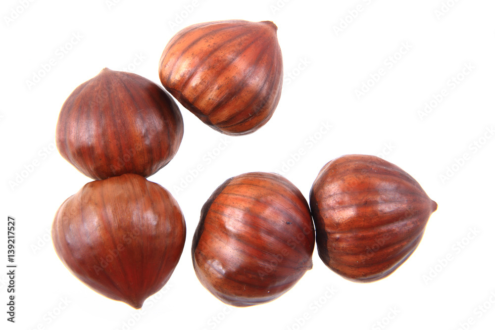 fresh edible chestnuts fresh edible chestnuts