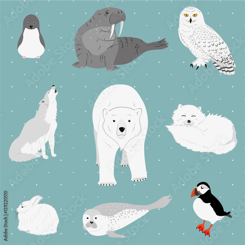 Polar animals set. Vector illustration