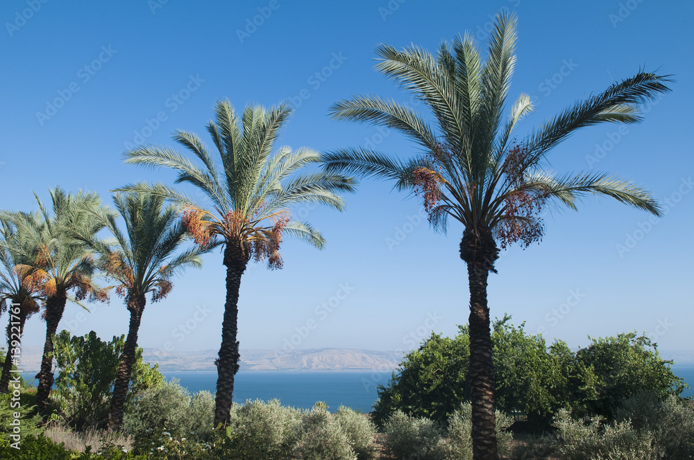 sea of galilee, Israel