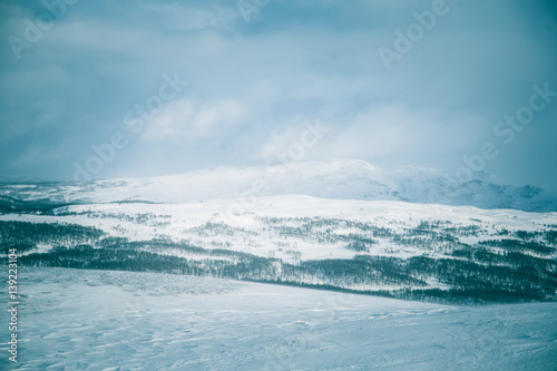 A beautiful winter landscape with mountains in the distance