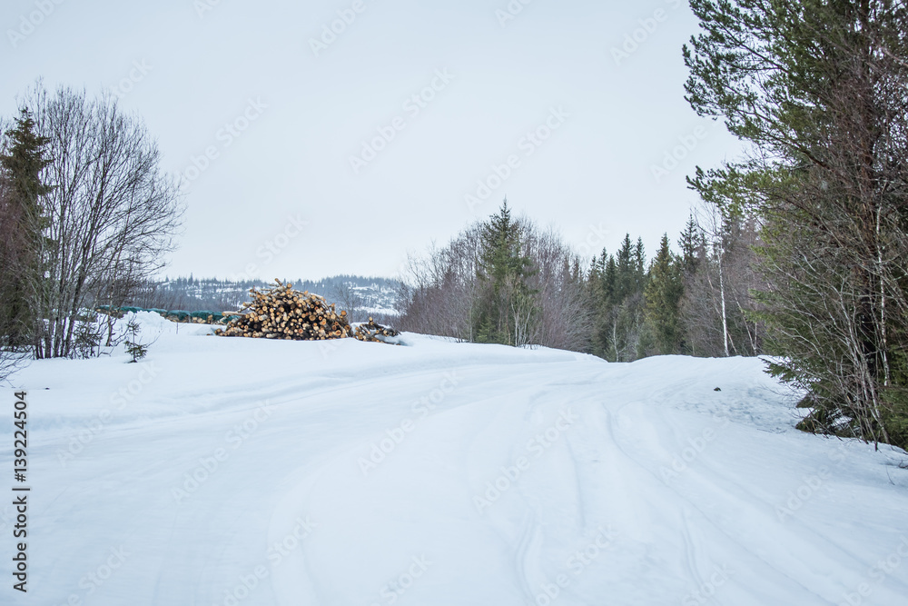 Naklejka premium A beautiful landscape with a white road in the Norwegian winter