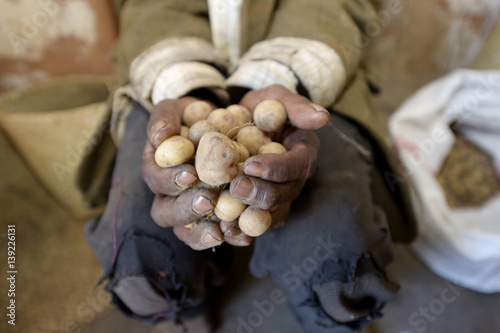 Madagascar, potatoes in the hand of an old peasant photo