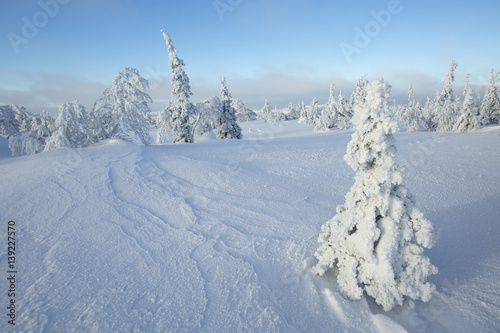Winter landscape. Finnish lapland © Kersti Lindström