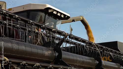 Havester pours grain into a truck. photo