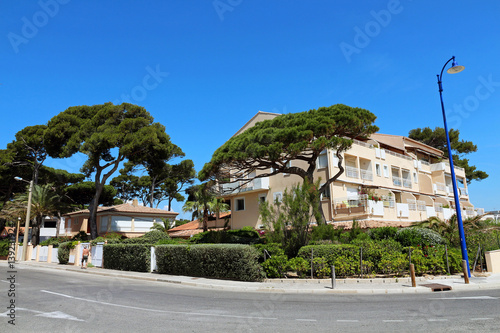 houses amid the pines - Hyères - France