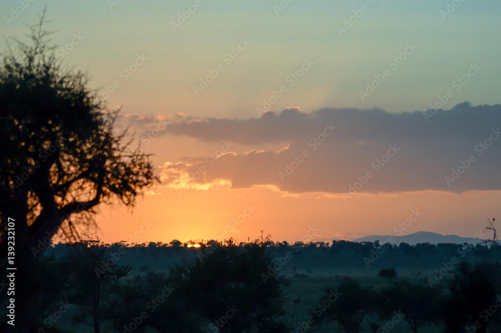 Fototapeta premium Rise of mist on the savanna