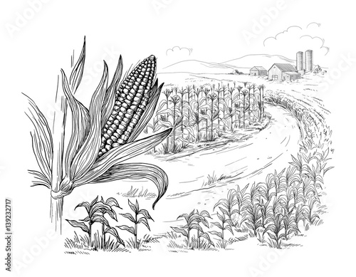Hand drawn vector illustration sketch rural landscape field house granary