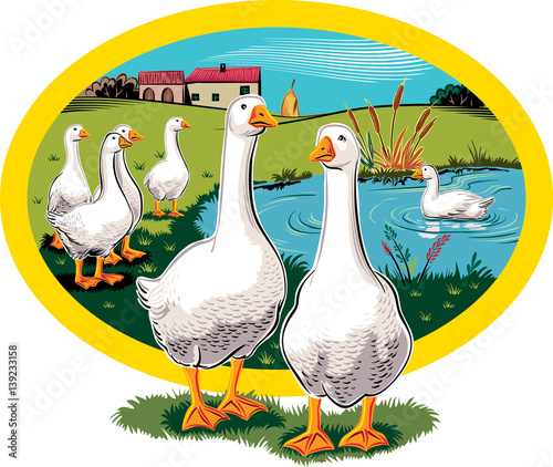 Oval frame with rural landscape and geese.
