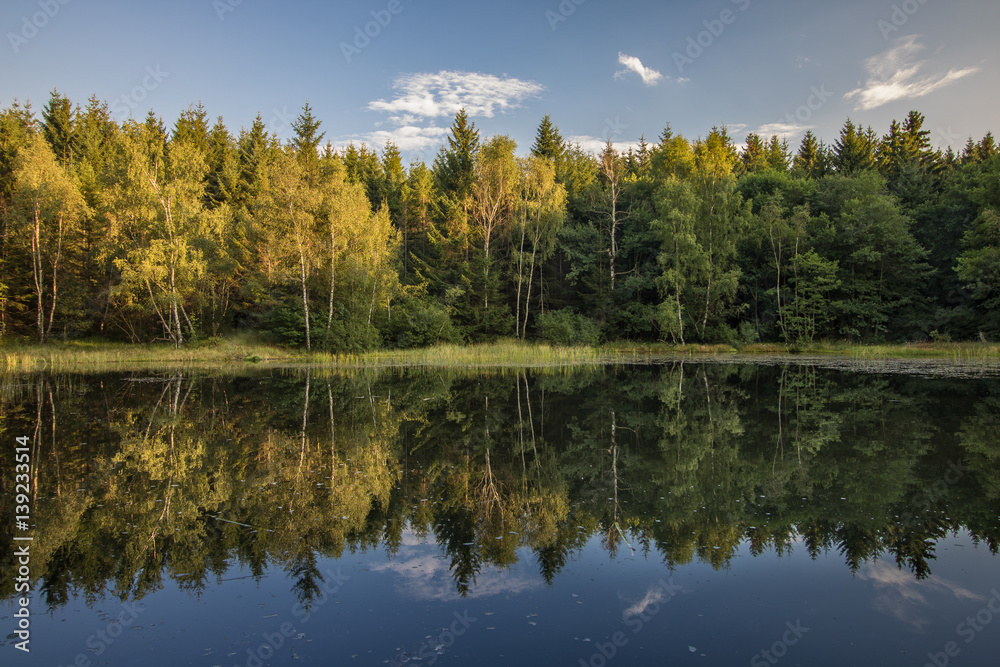Fototapeta premium Wald am See mit Spiegelung