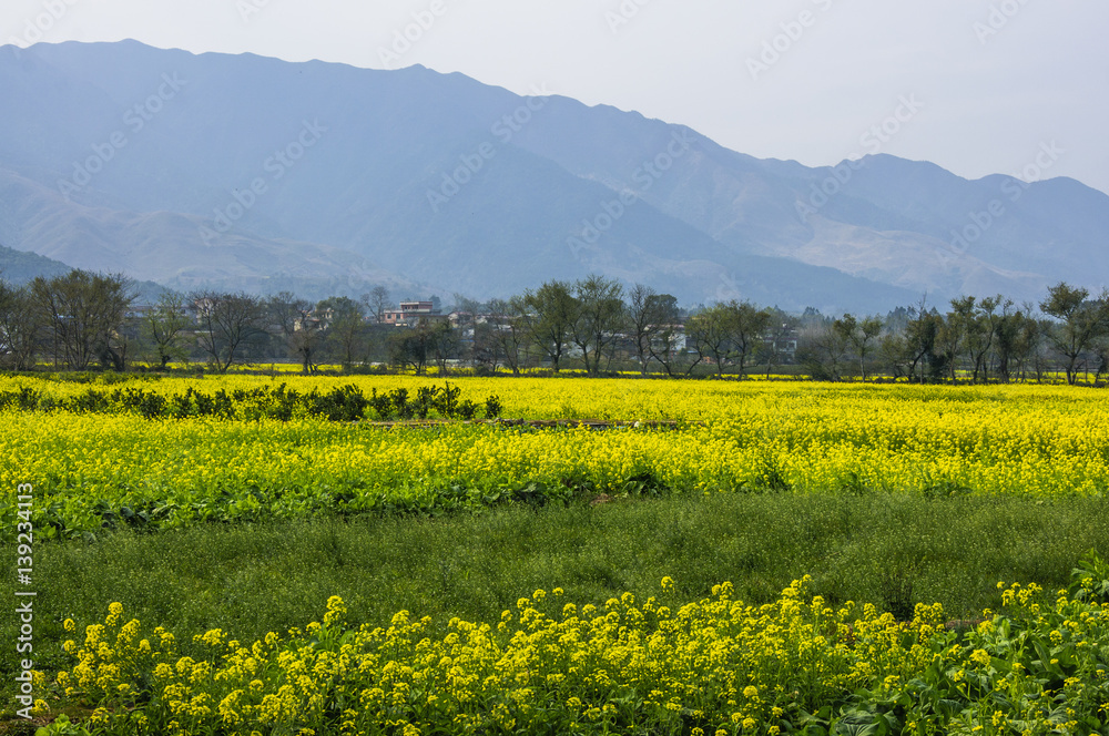 The colorful countryside scenery in spring
