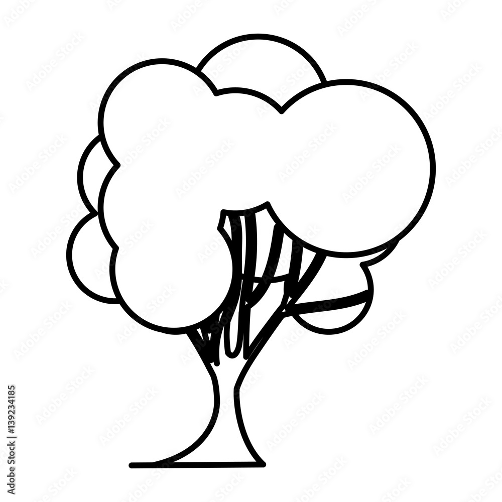 sketch silhouette tree nature icon with trunk vector illustration