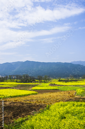 The colorful countryside scenery in spring 