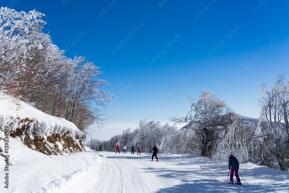 Amazing landscape in Vigla, Florina's ski center, Greece