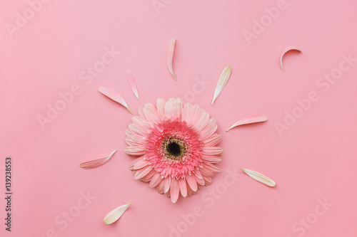 Fototapeta Naklejka Na Ścianę i Meble -  Pink Gerbera flower on pastel tone background