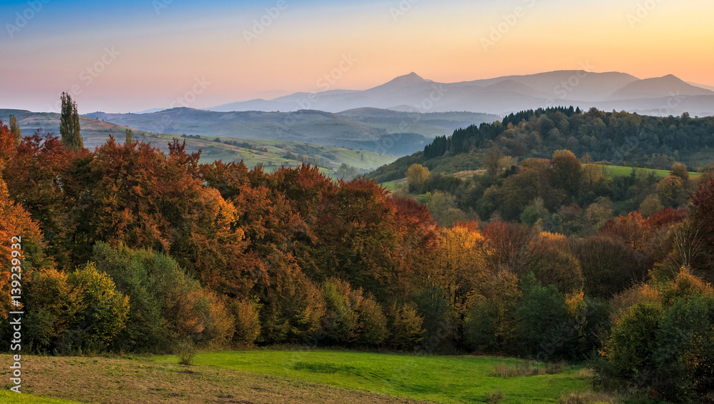 sunset over autumn forest in hazy mountains