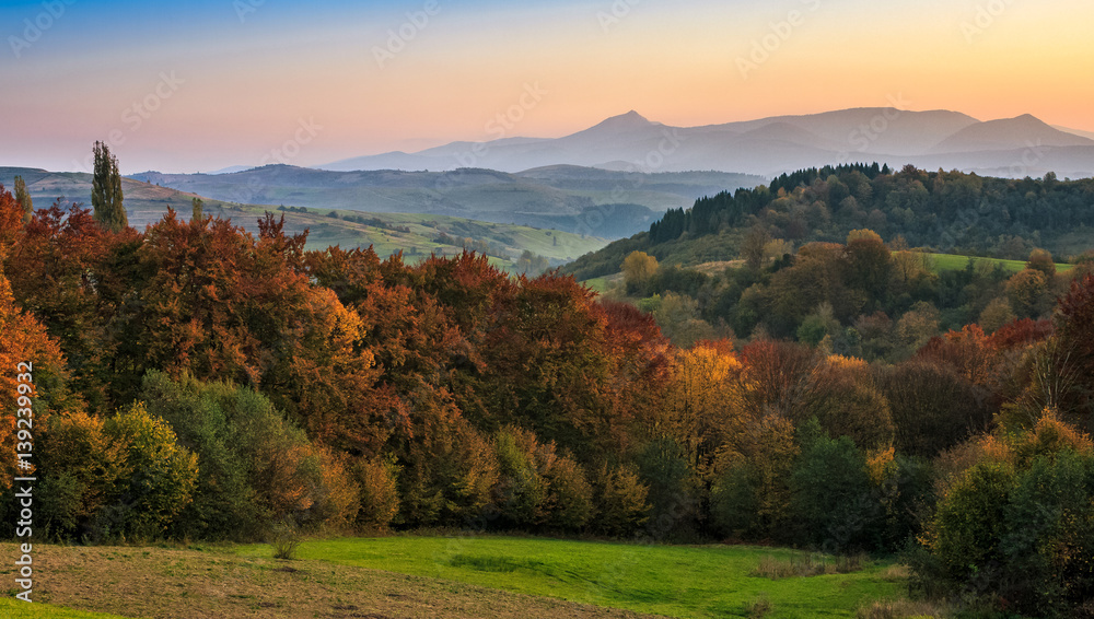 Fototapeta premium sunset over autumn forest in hazy mountains