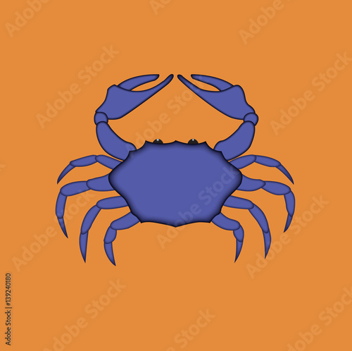 Blue crab/Blue crab illustration