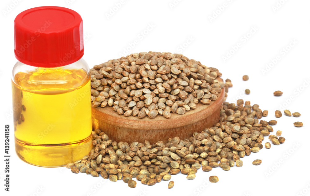 Seeds of Cannabis or hemp with essential oil in bottle Seeds of Cannabis or hemp with essential oil in bottle
