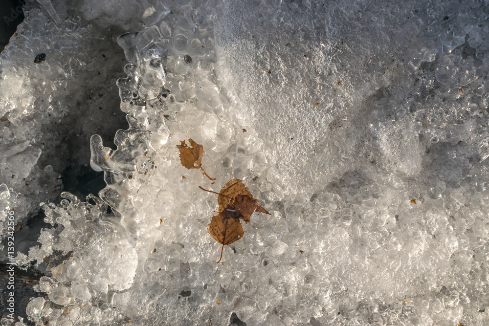 Fototapeta premium Grey Melted Ice on the Ground in Early Spring