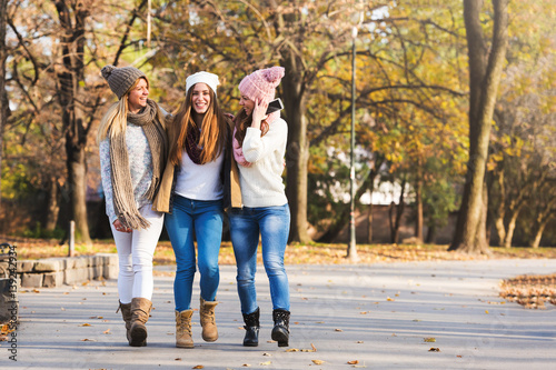 Group of smiling college girls walking in the park - friendship