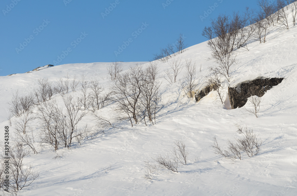 Winter landscape,blue sky,hills. Winter landscape,blue sky,hills.