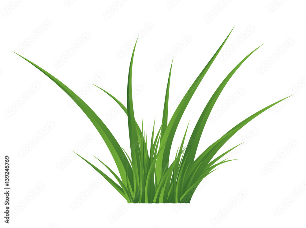 Green grass isolated vector symbol icon design.