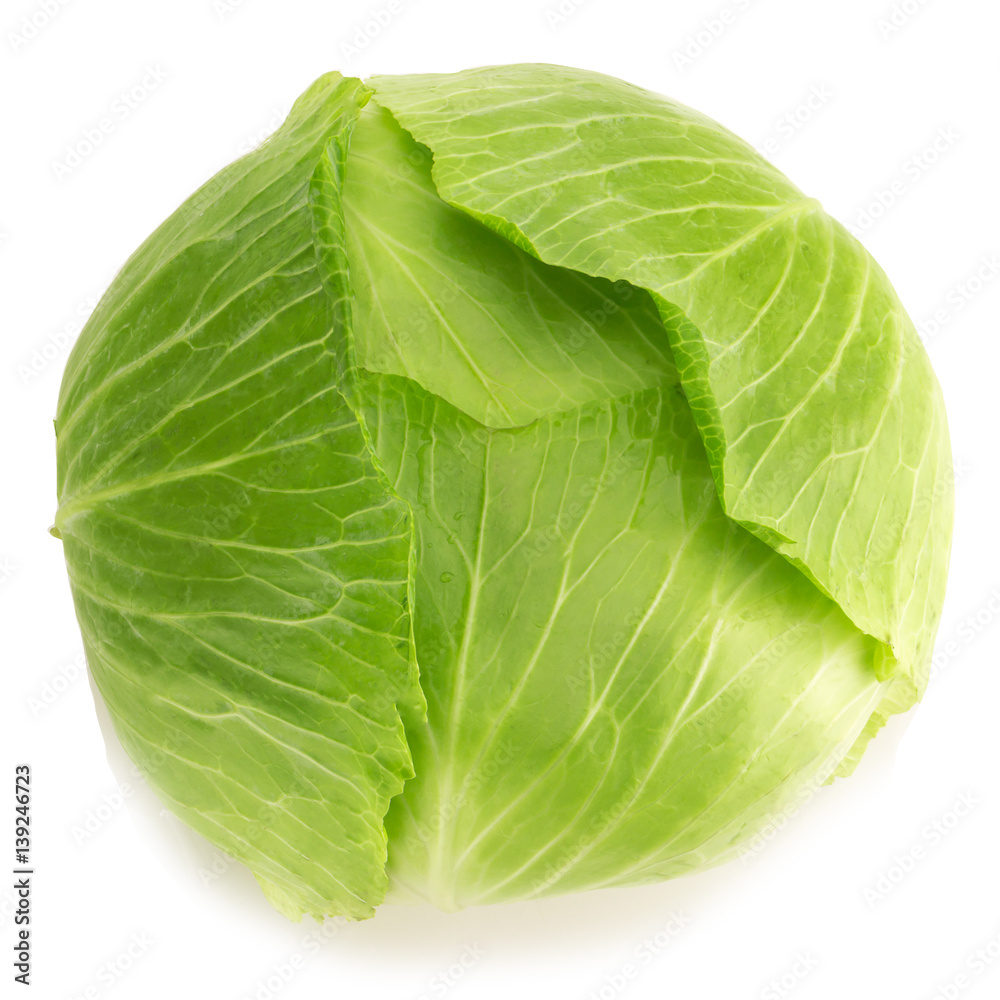 Obraz premium cabbage isolated on white background