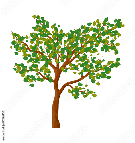 Fototapeta Naklejka Na Ścianę i Meble -  Green tree isolated vector symbol icon design.