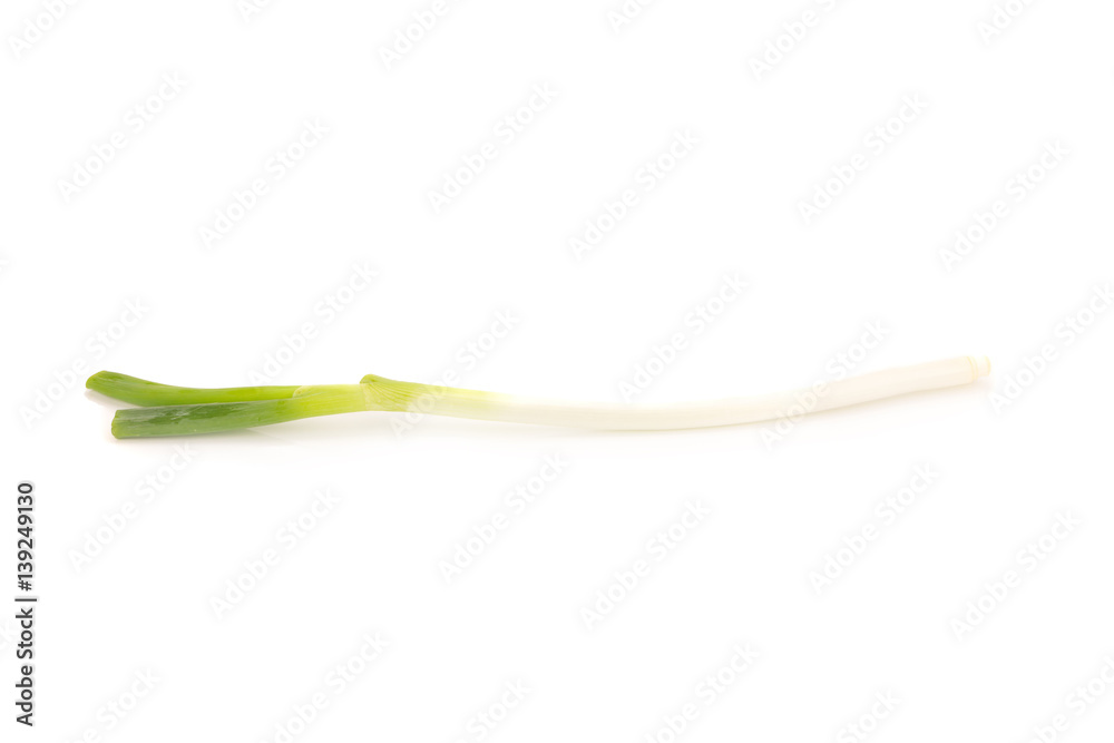 Green Japanese Bunching Onion on White Background Green Japanese Bunching Onion on White Background